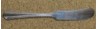 Croydon aka Mary Lee 1932 - Personal Butter Knife Flat Handle Paddle Blade