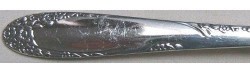 English Garden aka Honeymoon 1949 - Dinner Knife Hollow Handle Modern Serrated Stainless Blade