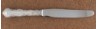 Louis De France - Birks  - Luncheon Knife Hollow Handle Modern Stainless Blade