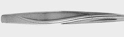 Sea Spray 1960 - Salad or Dessert Fork