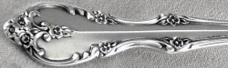 Southern Splendor aka Royal Pageant 1962 - Iced Tea or Parfait Spoon