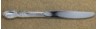 Victorian Rose 1954 - Dinner Knife Hollow Handle Modern Stainless Blade