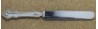 Avalon 1901 - Luncheon Knife Hollow Handle Blunt Plated Blade