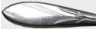 Pickwick 1938 - Dinner Knife Solid Handle French Stainless Blade