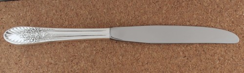 Riviera Revisited 1954 - Dinner Knife Hollow Handle Modern Stainless Blade