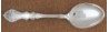 Rose 1905 - Serving or Table Spoon