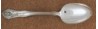 Roxbury 1906 - Serving or Table Spoon