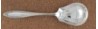 Webster 1915 - Berry or Casserole Spoon Small