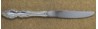 Baroque Rose 1967 - Dinner Knife Hollow Handle Modern Stainless Blade