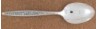 Tangier 1969 - Serving or Table Spoon