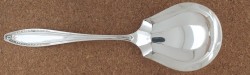 Webster 1915 - Berry or Casserole Spoon