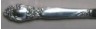 Ballad aka Country Lane 1953 - Dinner Knife Hollow Handle Modern Stainless Blade